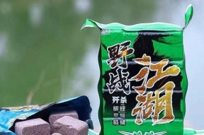 方块料钓鱼一技巧是什么？如何提高钓鱼效率？