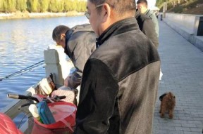 如何掌握正确的投竿技巧？投竿教学视频哪里找？