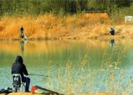 黑沟水库野钓鲤鱼技巧有哪些？如何提高钓鲤鱼的成功率？