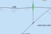 伏天野钓鲤鱼时如何调漂？掌握哪些技巧能提高成功率？