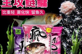 钓鱼王饵料使用技巧是什么？如何正确使用提高钓鱼效率？
