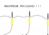 河源东江钓鱼技巧有哪些？如何提高钓鱼成功率？