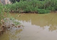 河流闸口钓鱼技巧有哪些？如何提高钓鱼成功率？