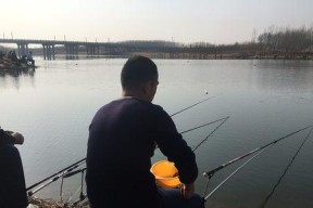 到河岸钓鱼方法技巧有哪些？如何提高钓鱼成功率？