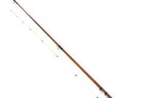 冬季钓鱼技巧-10米鱼竿的应用与优势（挑战冬日寒冷，优雅钓鱼之道）