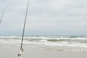 新颖海滩钓鱼技巧——钓上巨鲈的秘密（海滩钓鱼的新技巧）