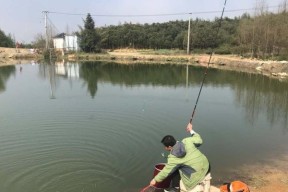 冰面钓鱼小鱼上钩技巧是什么？如何提高冰钓小鱼的成功率？