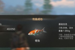 钓鱼玩法技巧与口诀有哪些？如何快速掌握钓鱼口诀？
