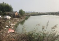 黑坑钓鱼方位技巧有哪些？如何根据季节变化选择最佳钓鱼位置？