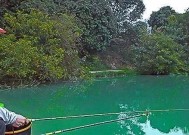 水库钓鱼技巧在30度温差下如何应用？常见问题有哪些解决方法？