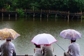 雨后清晨的钓鱼乐趣（掌握技巧轻松收获）