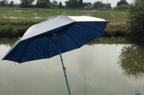 夏季32度钓鱼技巧（夏日高温下钓鱼的窍门与经验）