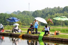 春季钓鱼技巧大河海杆钓鱼怎么钓？掌握这些方法让你轻松钓到鱼