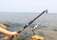 如何正确收竿以确保鱼儿不脱钩？