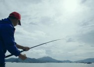 洱海钓鱼有什么技巧？如何提高钓鱼成功率？