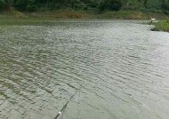 如何选择合适的钓鱼水深？掌握水深技巧提高钓鱼成功率？
