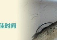 垂钓鲈鱼有哪些技巧？如何提高钓鲈成功率？