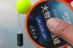钓鱼线组搭配技巧有哪些？如何选择合适的线组提高钓鱼效率？