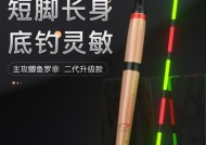 冬夜光漂钓鲫鱼的技巧（冬季鲫鱼钓技解析）