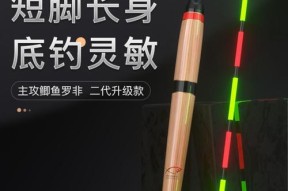 冬夜光漂钓鲫鱼的技巧（冬季鲫鱼钓技解析）
