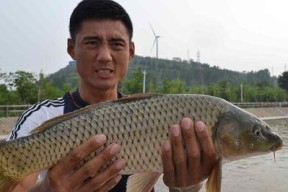 如何掌握调钓技巧提高钓鱼效率？调钓技巧有哪些常见误区？