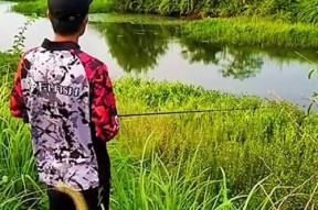 打黑钓鱼技巧教程？如何提高钓鱼成功率？