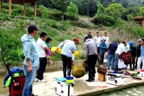黑坑滑口鲤鱼垂钓技巧是什么？如何应对滑口鲤鱼的挑战？
