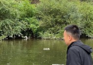 钓鱼提前多久打窝技巧？如何根据季节调整打窝时间？