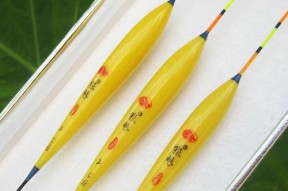 钓鱼技巧（掌握关键诀窍，提高钓鱼效果）