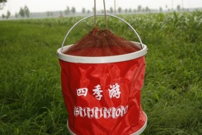 如何正确使用钓鱼桶？常见问题有哪些解决方法？