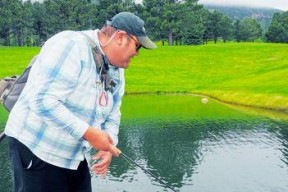 飞蝇钓鱼技巧教学：如何快速掌握？常见问题有哪些？
