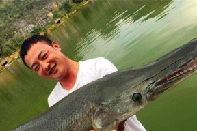钓鳖的技巧和方法有哪些？钓鱼人如何有效钓鳖？