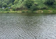 二十四节气钓鱼技巧有哪些？如何根据节气调整钓鱼方法？