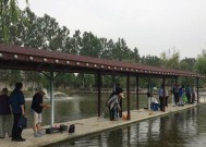 飞钓大师钓鱼机技巧剖析（掌握钓鱼机技巧）