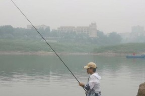 周末学钓鱼技巧与方法（钓鱼新手的必备指南）