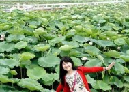 荷花水钓鱼技巧和方法有哪些？如何提高钓鱼成功率？