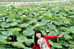 荷花水钓鱼技巧和方法有哪些？如何提高钓鱼成功率？