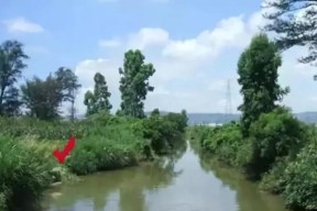 民间传统野钓技巧（探秘中国钓鱼文化的精髓）
