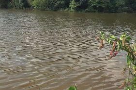 池塘水浅钓鱼技巧有哪些？如何提高钓鱼成功率？