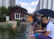 荷花池内钓鱼技巧有哪些？如何提高钓获率？