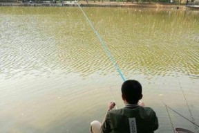 大草原湖边钓鱼技巧和方法是什么？如何提高钓鱼成功率？