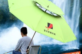 二十四节气钓鱼技巧口诀是什么？如何根据节气调整钓鱼方法？