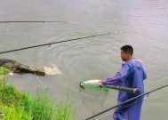 垂钓大青的技巧（提高钓鱼技术的关键是什么？）