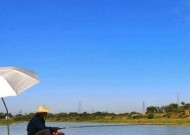 肥水大棚钓鱼技巧有哪些？如何提高钓鱼效率？