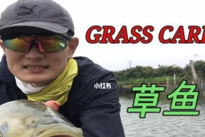 海湾钓鱼技巧教学（掌握关键技巧）