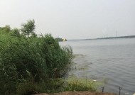 掌握以伊河钓鱼技巧的全面教程（高效的钓鱼技巧带你捕获丰富渔获）