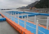 浮台手竿钓鱼技巧教学？如何提高钓鱼成功率？