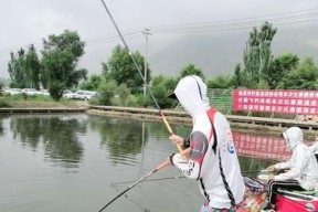 黑坑大边钓鱼技巧和方法有哪些？如何提高钓鱼成功率？