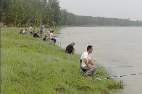 水库野钓打窝钓鱼技巧（掌握技巧）