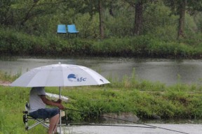 钓鱼钓水草的技巧大全（钓鱼新手必备，让你成为水上捕鱼高手）